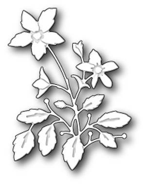 Memory Box Die - Lenora Bloom