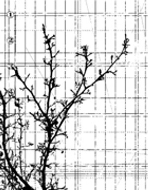 Memory Box Open Studio Cling Stamp Sketch Journal