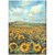 Stamperia - Sunflower Art - A4 Assorted Rice Paper Set (DFSA4XSF)