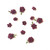 49 And Market Florets Paper Flowers - Plum (FM-38961) 1 49 And Market Florets Paper Flowers - Plum (FM-38961) 1
