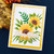 Spellbinders - Serenade of Autumn Collection - Layered Sunflower Stencil (STN-071)