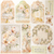 Ciao Bella - Always & Forever - Deluxe Paper Pearl 6x6 5/pkg (CBDP002) 4