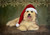 Decoupage Queen - Teresa Rene Art - Christmas Pup Rice Paper A4