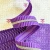 Sassafras Lane Wide Purple Stripe Zipper Tape with Nickle Teeth