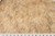 Shannon Luxe Cuddle Teddy - Honey Bear - Sold by the Half Yard