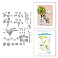 Spellbinders - The Propagation Garden Collection - Propagated Plants Etched Dies (S6-230)