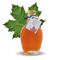 100% pure Organic Maple Syrup Classic Bottle 8.45oz 250ml