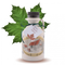 Organic Grade B Maple Syrup Quart