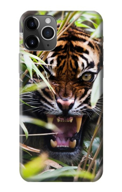 W3838 Barking Bengal Tiger Hülle Schutzhülle Taschen und Leder Flip für iPhone 11 Pro