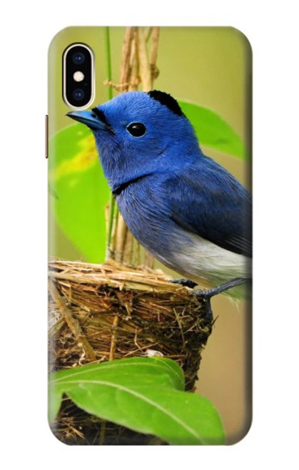 W3839 Bluebird of Happiness Blue Bird Hülle Schutzhülle Taschen und Leder Flip für iPhone XS Max