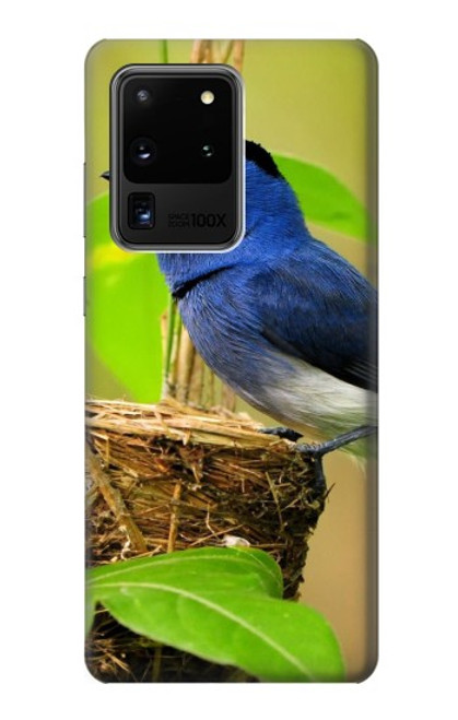 W3839 Bluebird of Happiness Blue Bird Hülle Schutzhülle Taschen und Leder Flip für Samsung Galaxy S20 Ultra