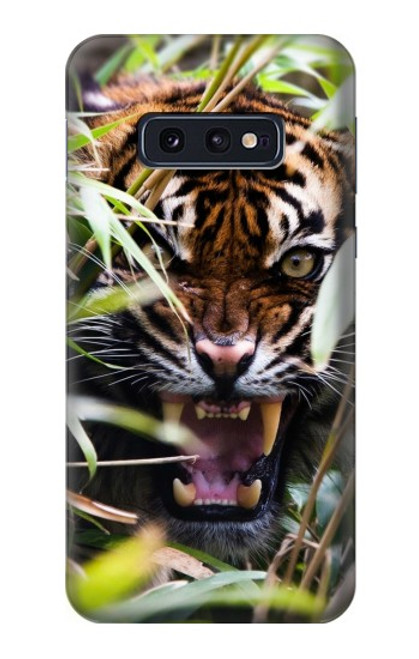 W3838 Barking Bengal Tiger Hülle Schutzhülle Taschen und Leder Flip für Samsung Galaxy S10e