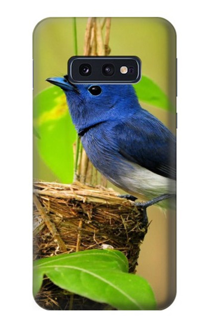 W3839 Bluebird of Happiness Blue Bird Hülle Schutzhülle Taschen und Leder Flip für Samsung Galaxy S10e