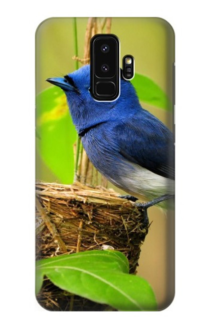 W3839 Bluebird of Happiness Blue Bird Hülle Schutzhülle Taschen und Leder Flip für Samsung Galaxy S9 Plus