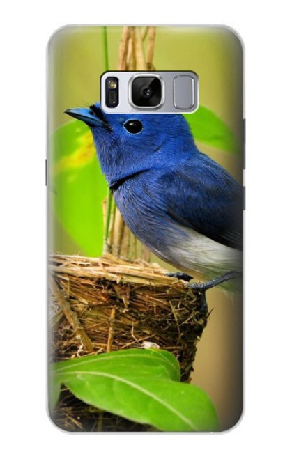 W3839 Bluebird of Happiness Blue Bird Hülle Schutzhülle Taschen und Leder Flip für Samsung Galaxy S8 Plus