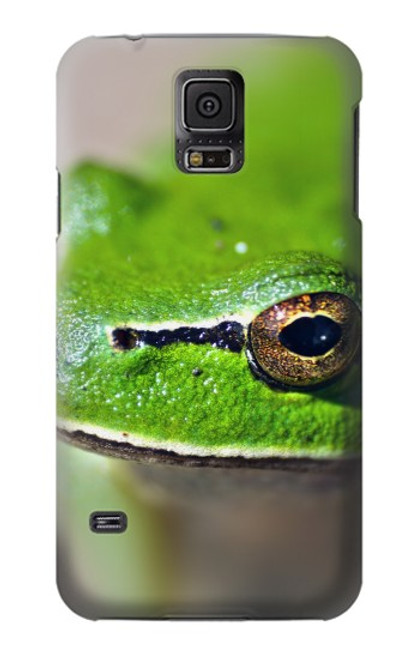 W3845 Green frog Hülle Schutzhülle Taschen und Leder Flip für Samsung Galaxy S5