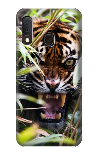 W3838 Barking Bengal Tiger Hülle Schutzhülle Taschen und Leder Flip für Samsung Galaxy A20e