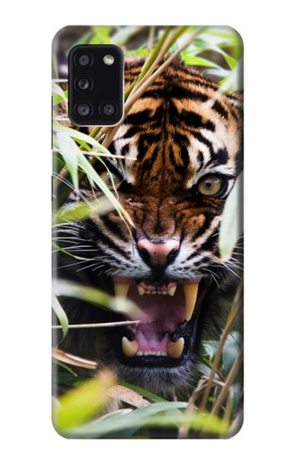 W3838 Barking Bengal Tiger Hülle Schutzhülle Taschen und Leder Flip für Samsung Galaxy A31