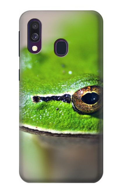W3845 Green frog Hülle Schutzhülle Taschen und Leder Flip für Samsung Galaxy A40