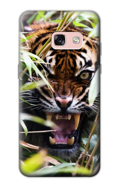 W3838 Barking Bengal Tiger Hülle Schutzhülle Taschen und Leder Flip für Samsung Galaxy A3 (2017)