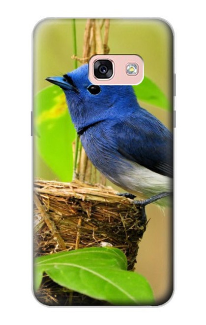 W3839 Bluebird of Happiness Blue Bird Hülle Schutzhülle Taschen und Leder Flip für Samsung Galaxy A3 (2017)