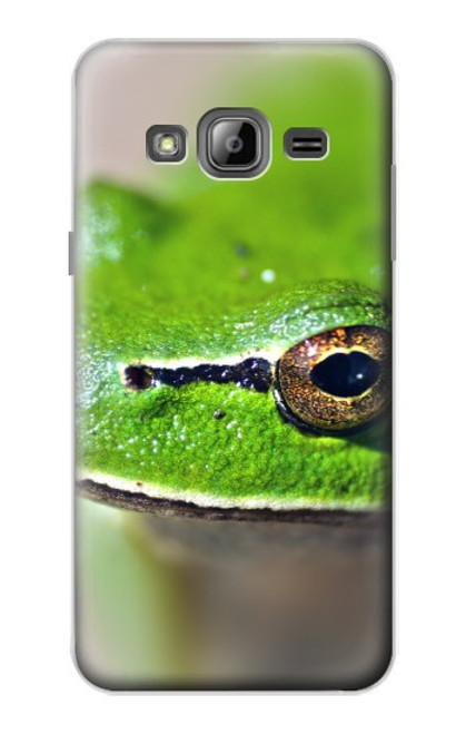 W3845 Green frog Hülle Schutzhülle Taschen und Leder Flip für Samsung Galaxy J3 (2016)
