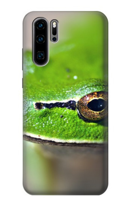 W3845 Green frog Hülle Schutzhülle Taschen und Leder Flip für Huawei P30 Pro