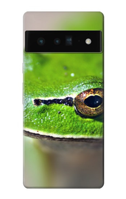 W3845 Green frog Hülle Schutzhülle Taschen und Leder Flip für Google Pixel 6 Pro