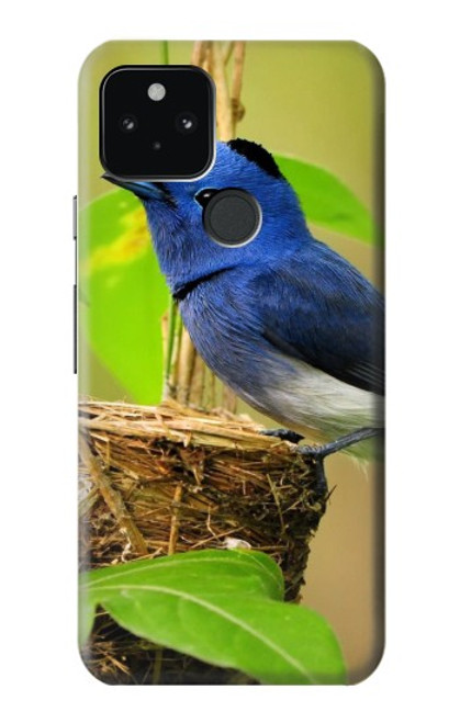 W3839 Bluebird of Happiness Blue Bird Hülle Schutzhülle Taschen und Leder Flip für Google Pixel 5