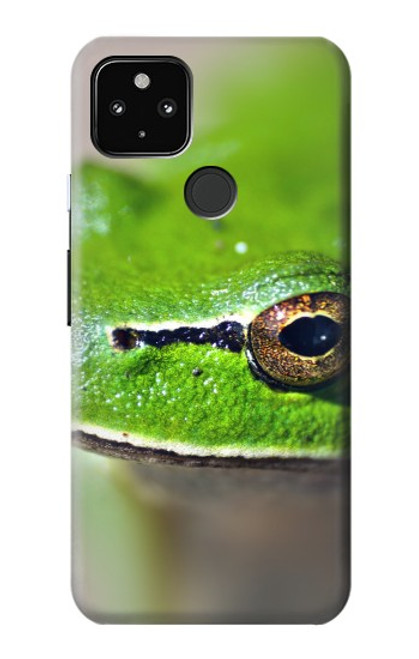 W3845 Green frog Hülle Schutzhülle Taschen und Leder Flip für Google Pixel 4a 5G