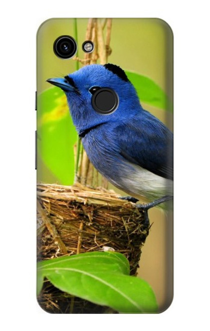 W3839 Bluebird of Happiness Blue Bird Hülle Schutzhülle Taschen und Leder Flip für Google Pixel 3a