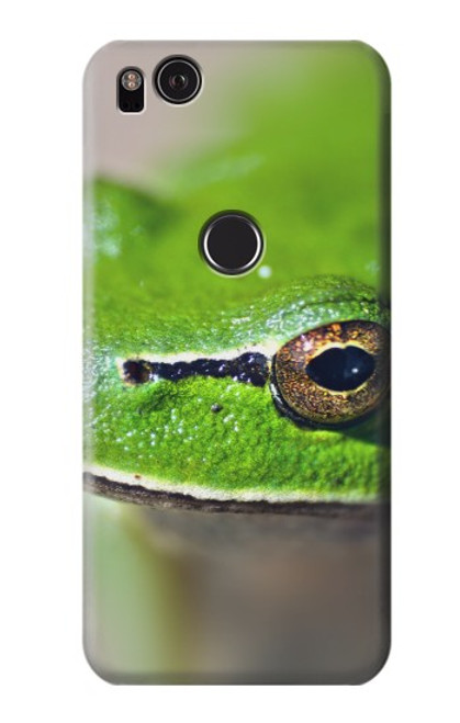 W3845 Green frog Hülle Schutzhülle Taschen und Leder Flip für Google Pixel 2