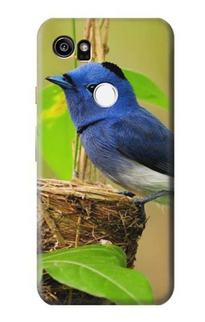 W3839 Bluebird of Happiness Blue Bird Hülle Schutzhülle Taschen und Leder Flip für Google Pixel 2 XL