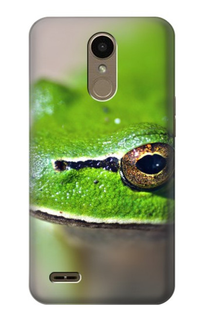 W3845 Green frog Hülle Schutzhülle Taschen und Leder Flip für LG K10 (2018), LG K30