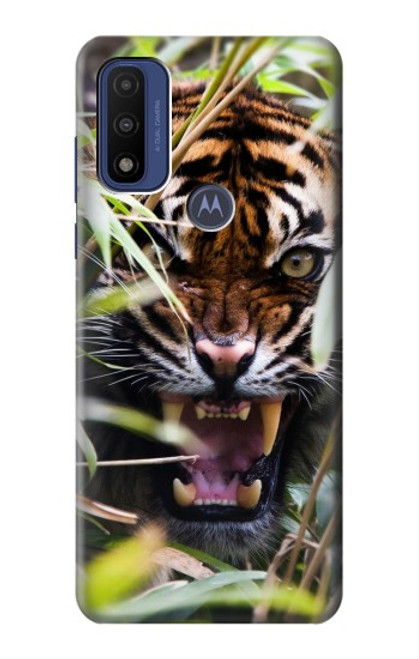W3838 Barking Bengal Tiger Hülle Schutzhülle Taschen und Leder Flip für Motorola G Pure