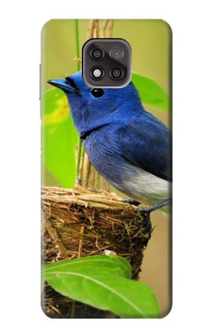 W3839 Bluebird of Happiness Blue Bird Hülle Schutzhülle Taschen und Leder Flip für Motorola Moto G Power (2021)