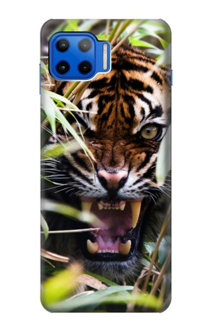 W3838 Barking Bengal Tiger Hülle Schutzhülle Taschen und Leder Flip für Motorola Moto G 5G Plus