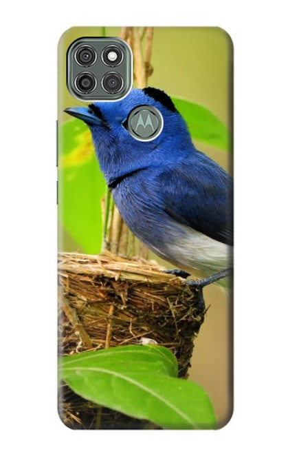 W3839 Bluebird of Happiness Blue Bird Hülle Schutzhülle Taschen und Leder Flip für Motorola Moto G9 Power