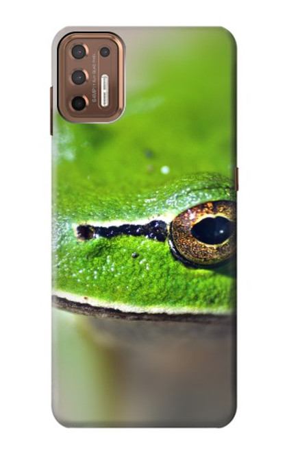 W3845 Green frog Hülle Schutzhülle Taschen und Leder Flip für Motorola Moto G9 Plus