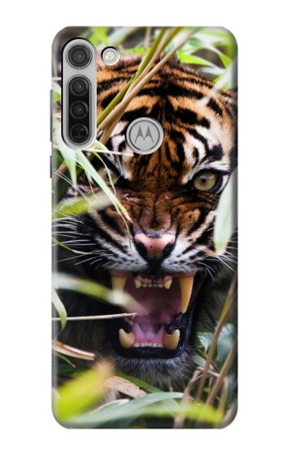 W3838 Barking Bengal Tiger Hülle Schutzhülle Taschen und Leder Flip für Motorola Moto G8