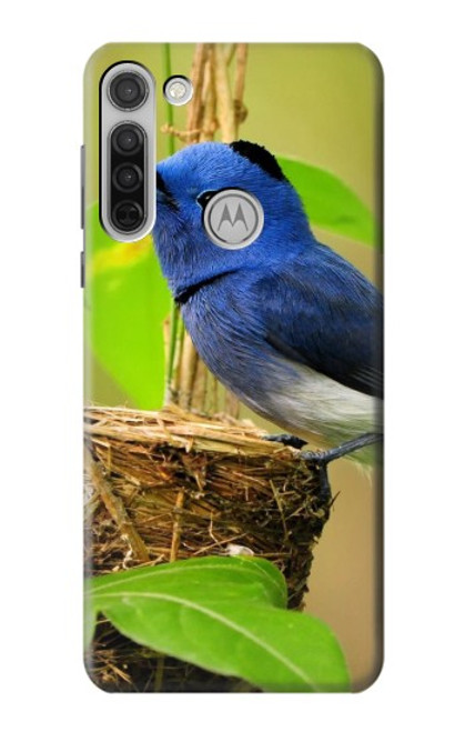 W3839 Bluebird of Happiness Blue Bird Hülle Schutzhülle Taschen und Leder Flip für Motorola Moto G8