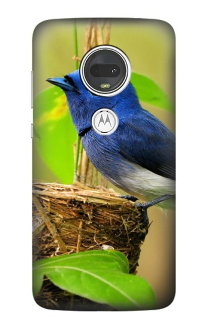 W3839 Bluebird of Happiness Blue Bird Hülle Schutzhülle Taschen und Leder Flip für Motorola Moto G7, Moto G7 Plus