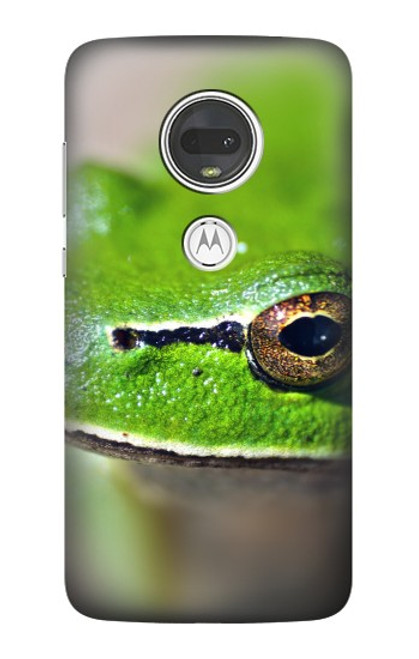 W3845 Green frog Hülle Schutzhülle Taschen und Leder Flip für Motorola Moto G7, Moto G7 Plus