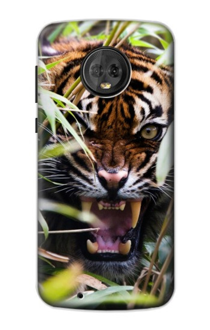 W3838 Barking Bengal Tiger Hülle Schutzhülle Taschen und Leder Flip für Motorola Moto G6