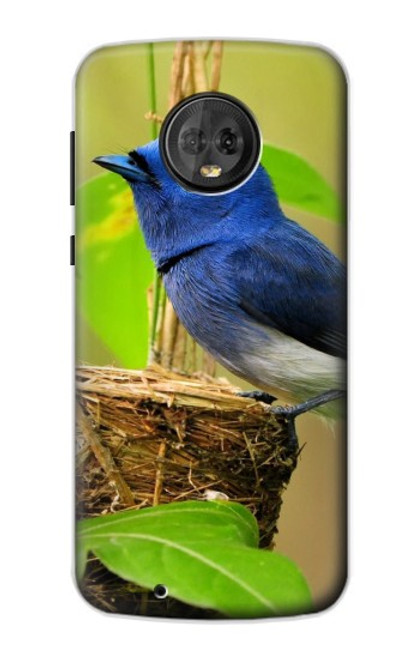 W3839 Bluebird of Happiness Blue Bird Hülle Schutzhülle Taschen und Leder Flip für Motorola Moto G6