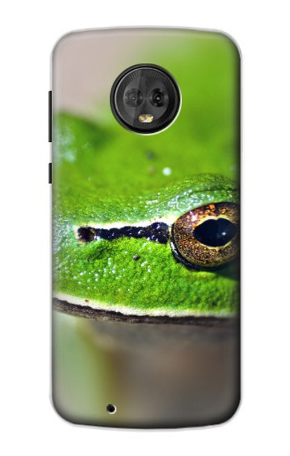 W3845 Green frog Hülle Schutzhülle Taschen und Leder Flip für Motorola Moto G6