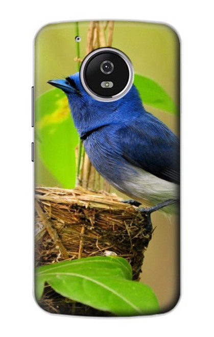 W3839 Bluebird of Happiness Blue Bird Hülle Schutzhülle Taschen und Leder Flip für Motorola Moto G5