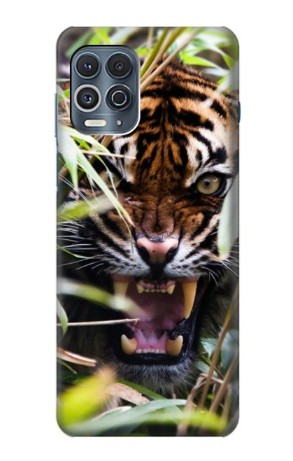 W3838 Barking Bengal Tiger Hülle Schutzhülle Taschen und Leder Flip für Motorola Edge S