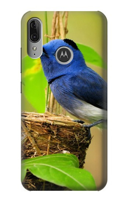 W3839 Bluebird of Happiness Blue Bird Hülle Schutzhülle Taschen und Leder Flip für Motorola Moto E6 Plus, Moto E6s