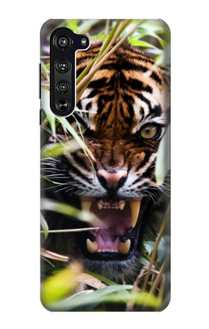 W3838 Barking Bengal Tiger Hülle Schutzhülle Taschen und Leder Flip für Motorola Edge